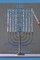 The (Revised) Protocols of the Elders of Zion