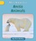 Arctic Animals