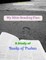 My Bible Reading Plan