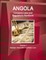 Angola Company Laws and Regulations Handbook Volume 1 Strategic Information and Basic Laws