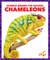 Chameleons