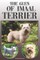 The Glen of Imaal Terrier