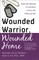Wounded Warrior, Wounded Home