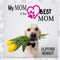 My Mom is the Best Mom