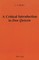 A Critical Introduction to Â«Don QuixoteÂ»