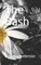 The Bash