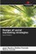 Design of social marketing strategies