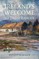 Ireland's Welcome to the Stranger