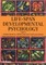Life-Span Developmental Psychology