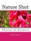 Nature Shot