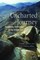 Uncharted Journey