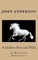 A Stallion Free and Wild