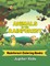 Animals Of The Rainforest