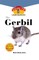 Gerbil