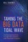 Taming The Big Data Tidal Wave