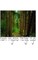nam myho range kyo Nature Buddhist creative Journal