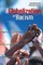 The Globalization of Racism