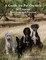 A Guide for Pet Owners in Greece - Residents and Tourists