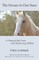 The Horses In Our Stars