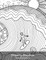 Dreamy Doodles Coloring Book for Grown-Ups 3 & 4