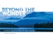 Beyond the Wonder
