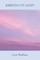 Ribbons of Light