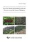 Rare Tree Species in Remnant Forests and Nurseries across the Visayas, Philippines