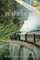 Peace Train, a Love Story