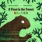 A Year in the Forest with Beaver