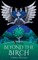 Beyond the Birch