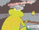 The Audacious Little Duck