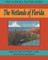 The Wetlands of Florida