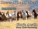 Horses of the Americas
