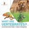 What Are Vertebrates? Animal Science Book Grade 3 Children's Zoology Books