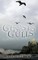 Ghosts and Gulls