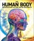 The Human Body