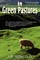 In Green Pastures