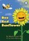 Bee And Sunflower
