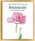 Color Your Own Wall Art Botanicals