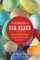 The Ultimate Guide to Sea Glass: Beach Comber's Edition