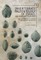 Invertebrate Paleontology (Mesozoic) of Israel and Adjacent Countries with Emphasis on the Brachiopoda