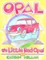 Opal the Little Red Opel A Story of Restoration