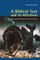A Biblical Text and Its Afterlives