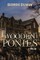 Wooden Ponies