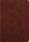ESV Student Study Bible (Trutone, Chestnut)