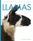 Llamas