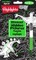 Dinosaur Hidden Pictures Puzzles to Highlight