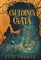Guiding Gaia