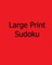 Large Print Sudoku