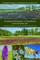 Ecological Restoration in International Environmental Law